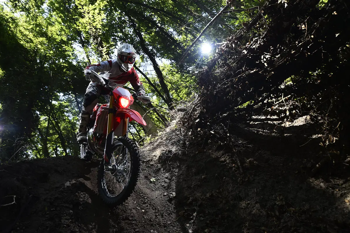 Beta Enduro RR 2016 (8)