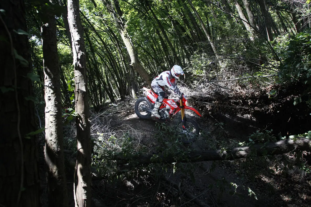 Beta Enduro RR 2016 (20)