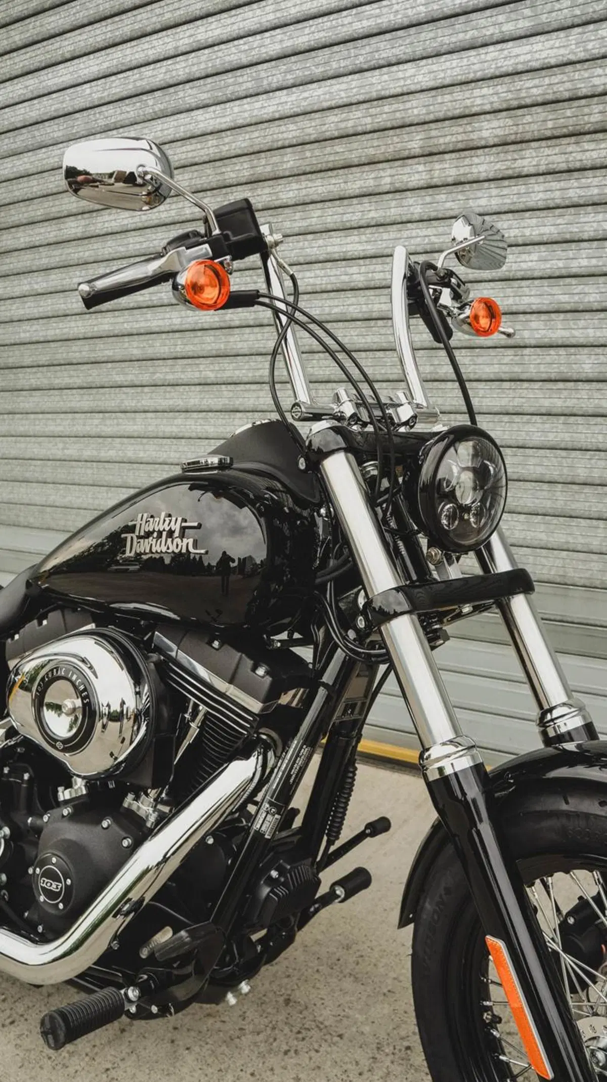 Harley-Davidson Dyna Street Bob Limited (6)