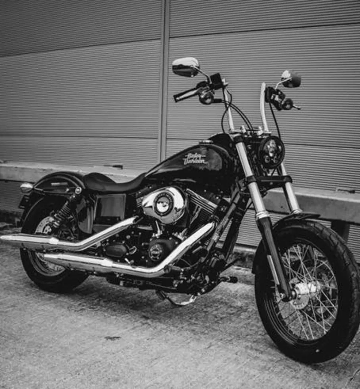 Harley-Davidson Dyna Street Bob Limited (5)