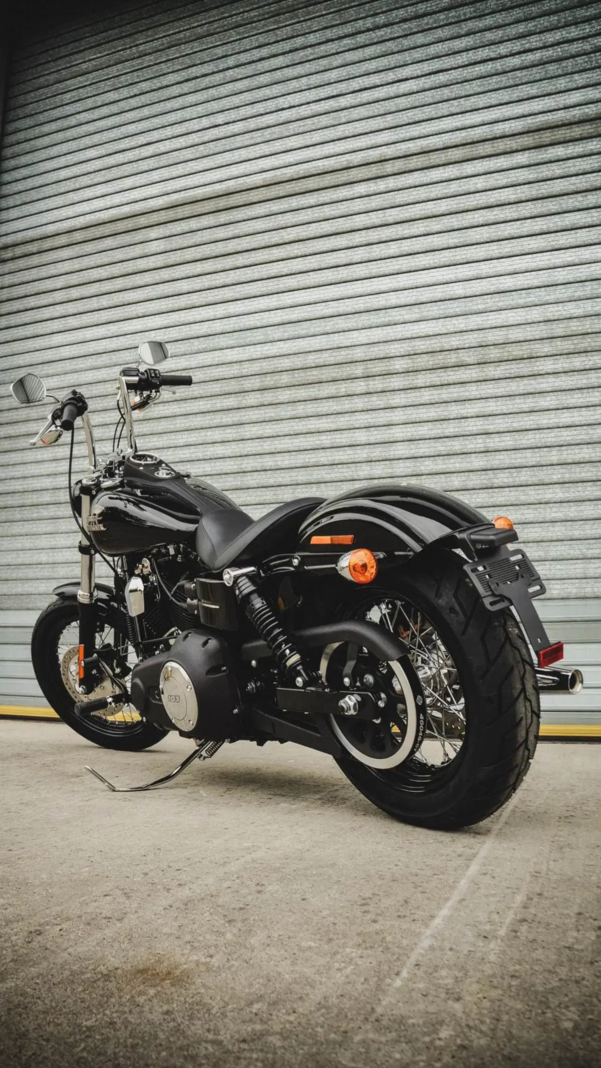 Harley-Davidson Dyna Street Bob Limited (3)