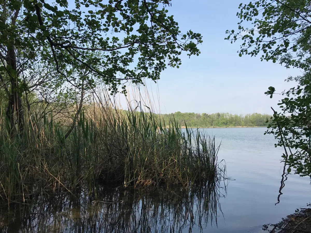 In viaggio con Camilla: fra i Laghi e la Svizzera (8)