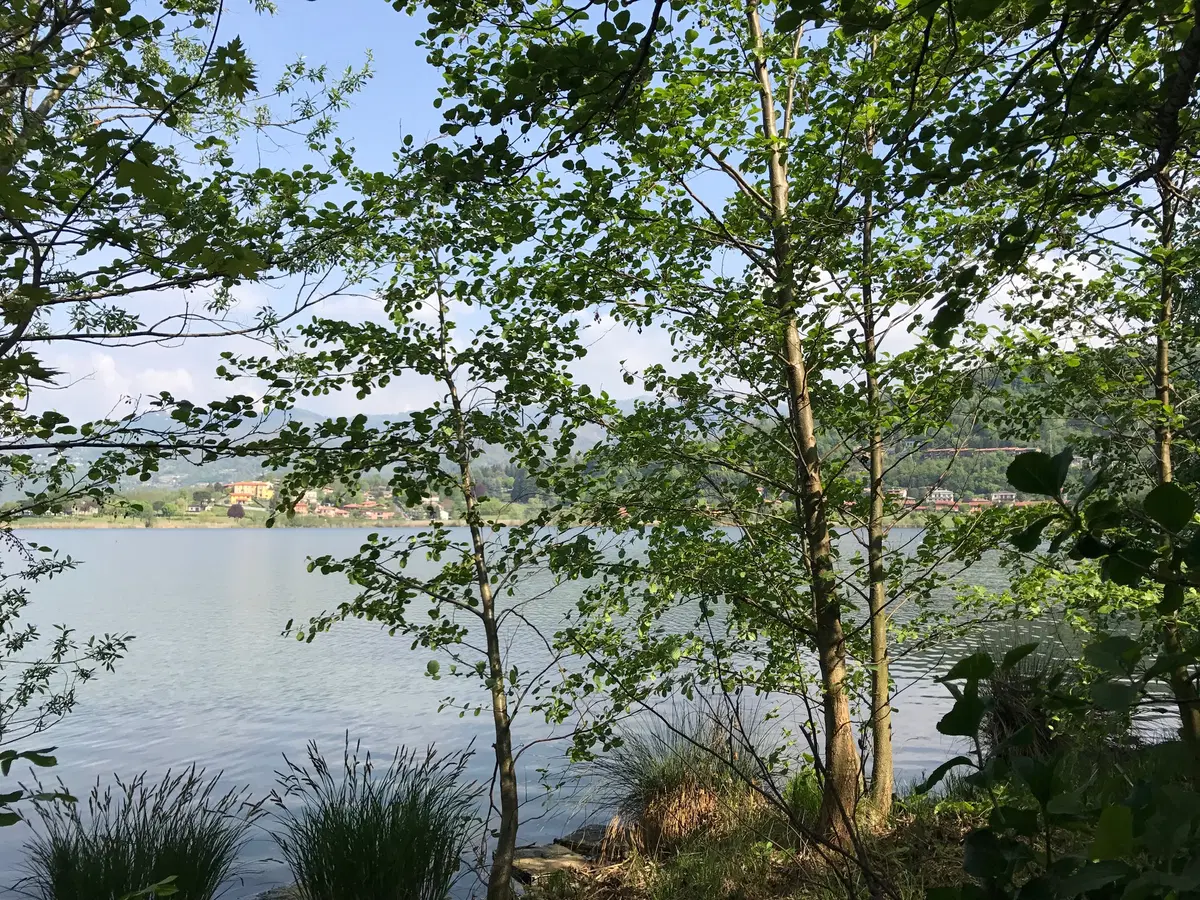 In viaggio con Camilla: fra i Laghi e la Svizzera (17)