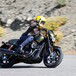 Harley-Davidson Street Rod 750. Entry level, ma non troppo