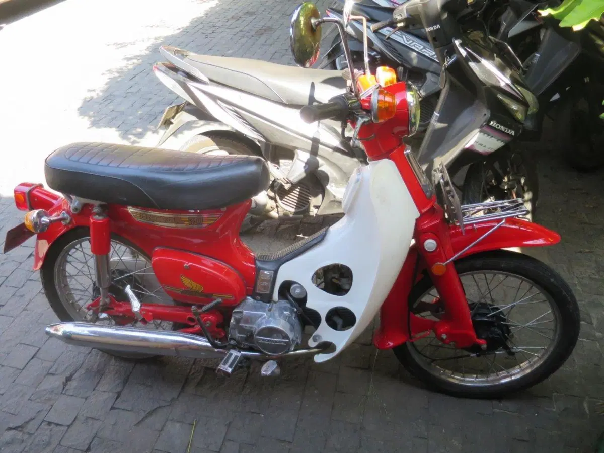 Cartoline da Bali (18)