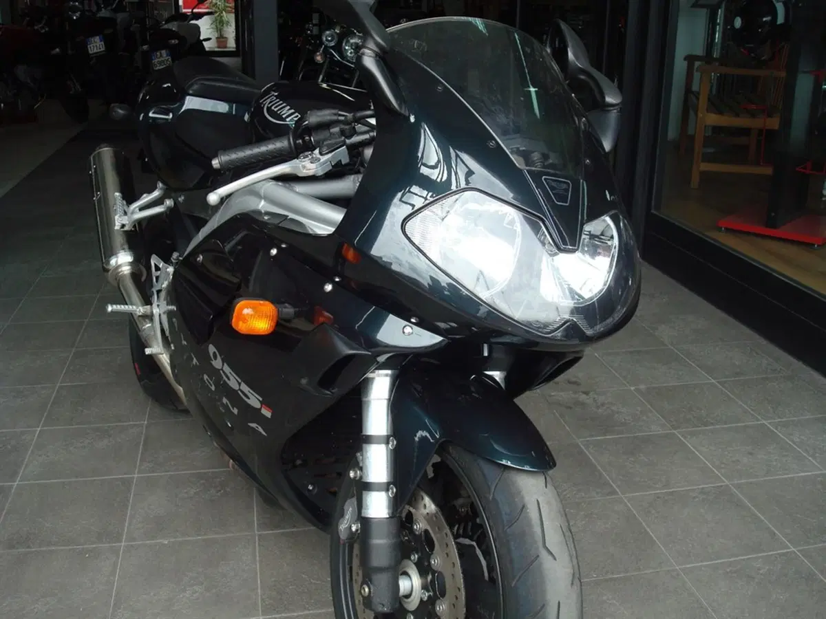 Le Belle e Possibili di Moto.it: Triumph Daytona 955i Centenary (3)