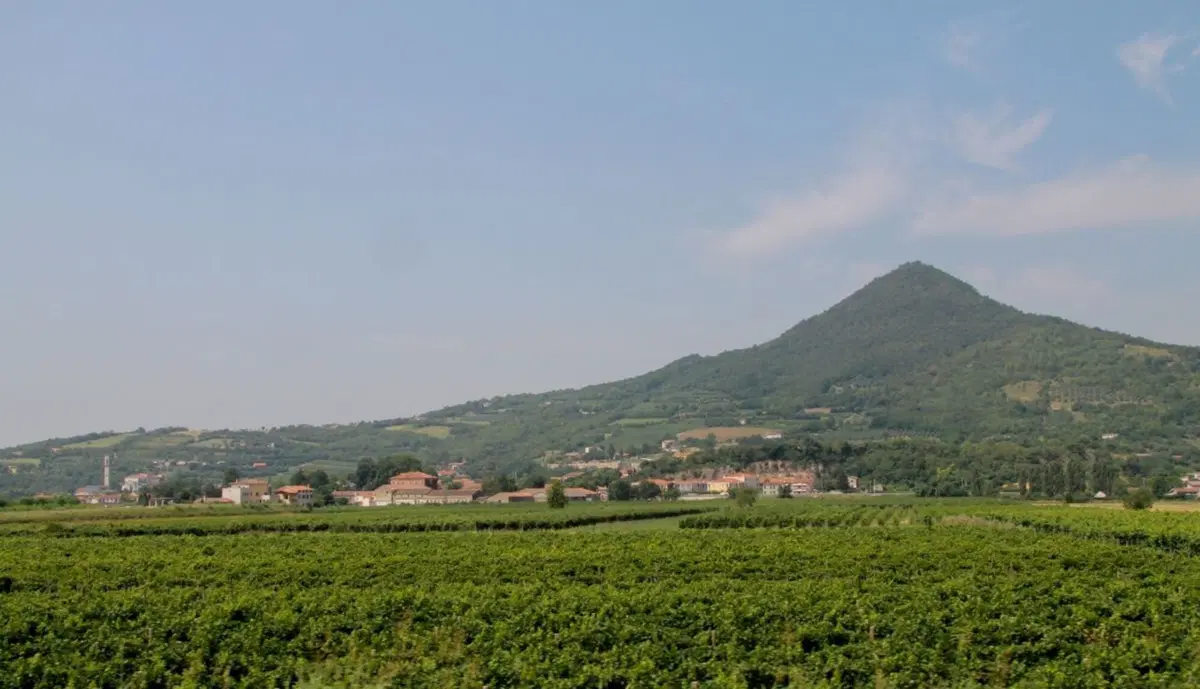 In viaggio con Camilla: i colli euganei (2)