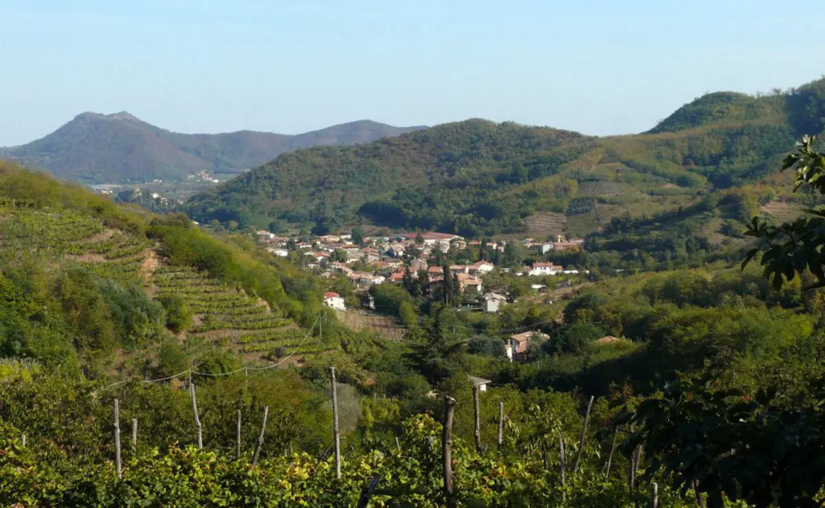 In viaggio con Camilla: i colli euganei (3)