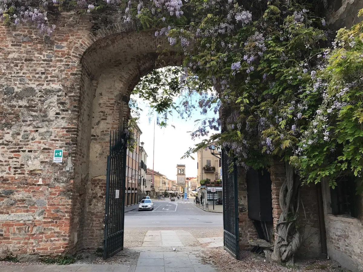 In viaggio con Camilla: i colli euganei (10)