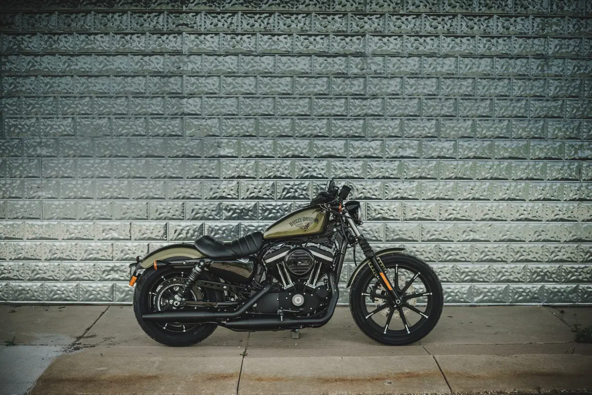 Harley-Davidson Iron 883 2016 (4)