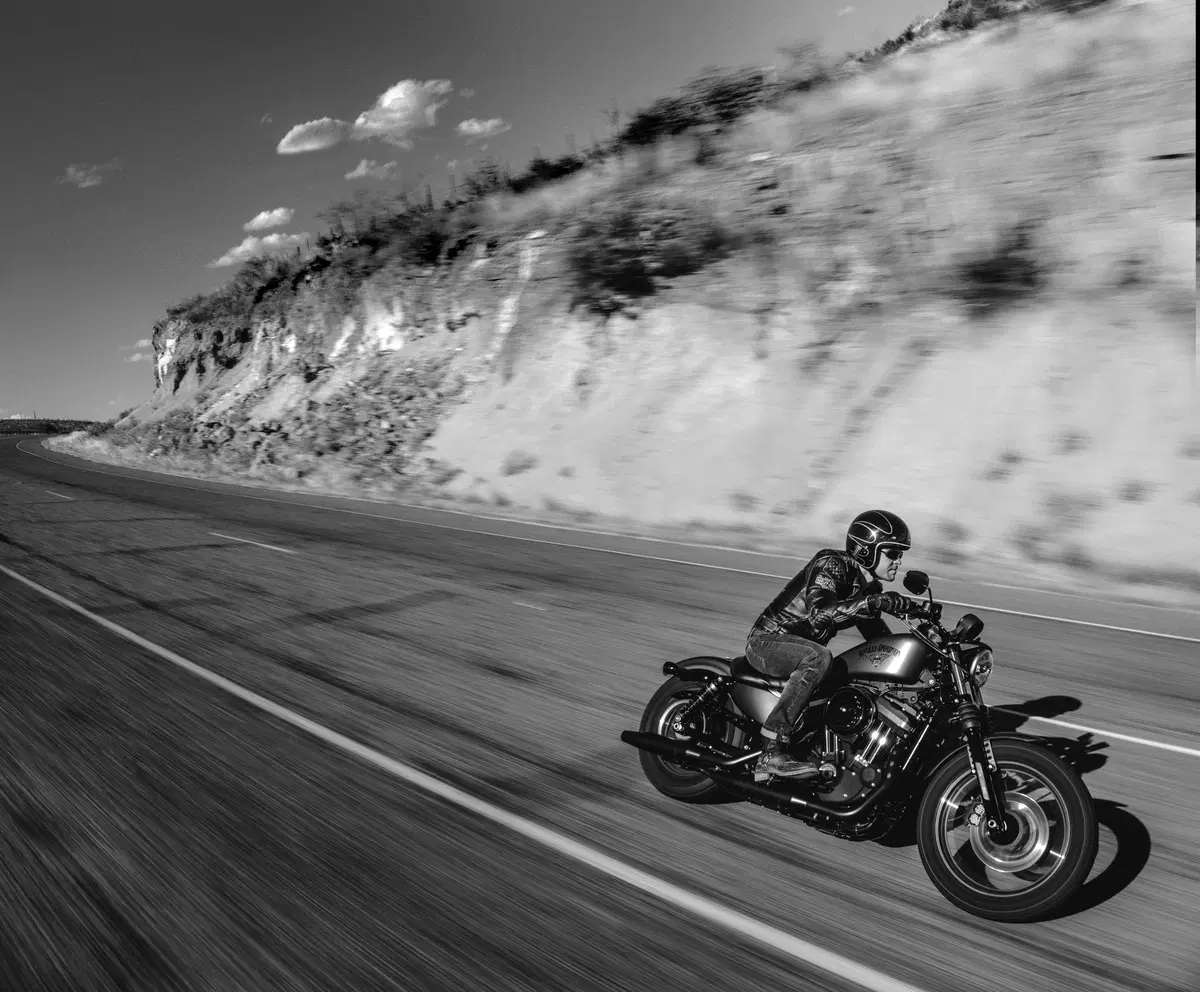 Harley-Davidson Iron 883 2016 (6)