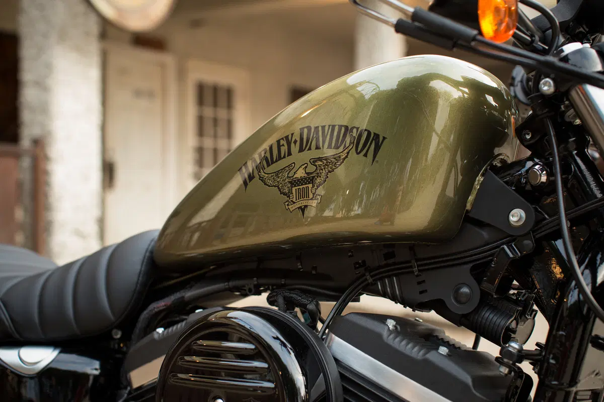 Harley-Davidson Iron 883 2016 (12)