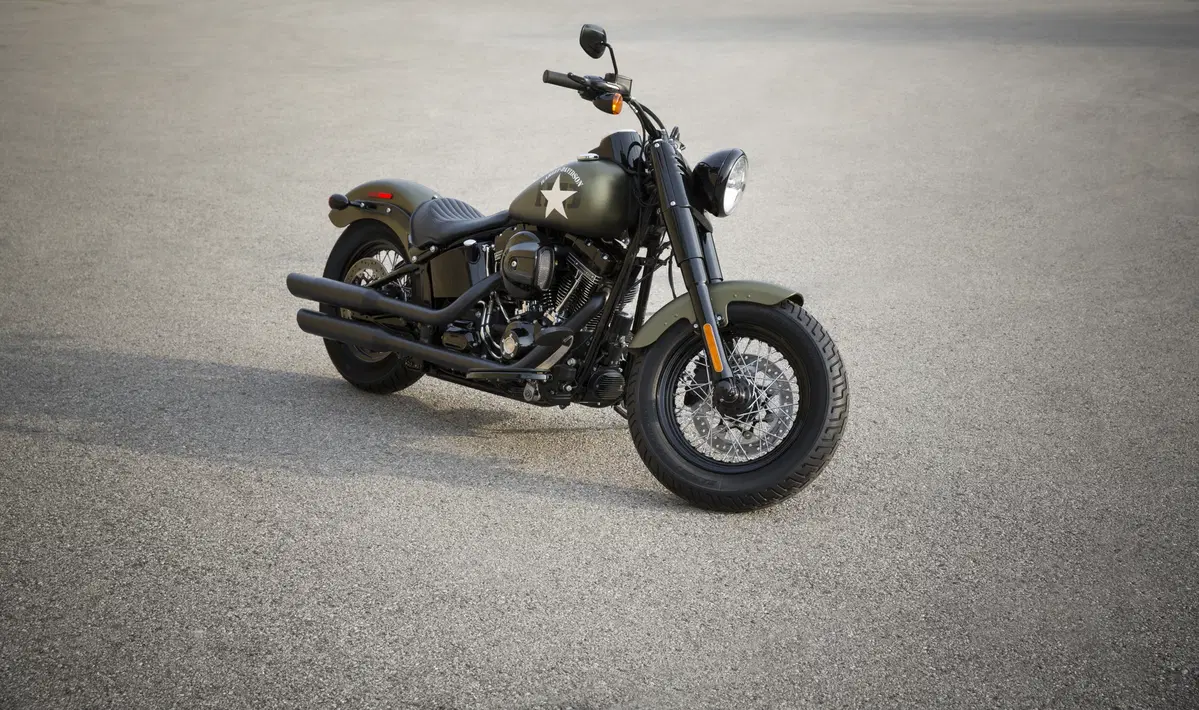 Harley-Davidson: ecco la gamma 2016 (15)