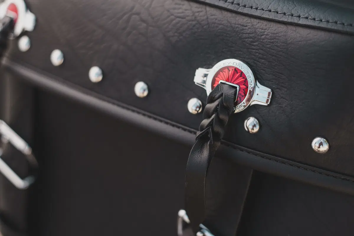 Harley-Davidson: ecco la gamma 2016 (2)