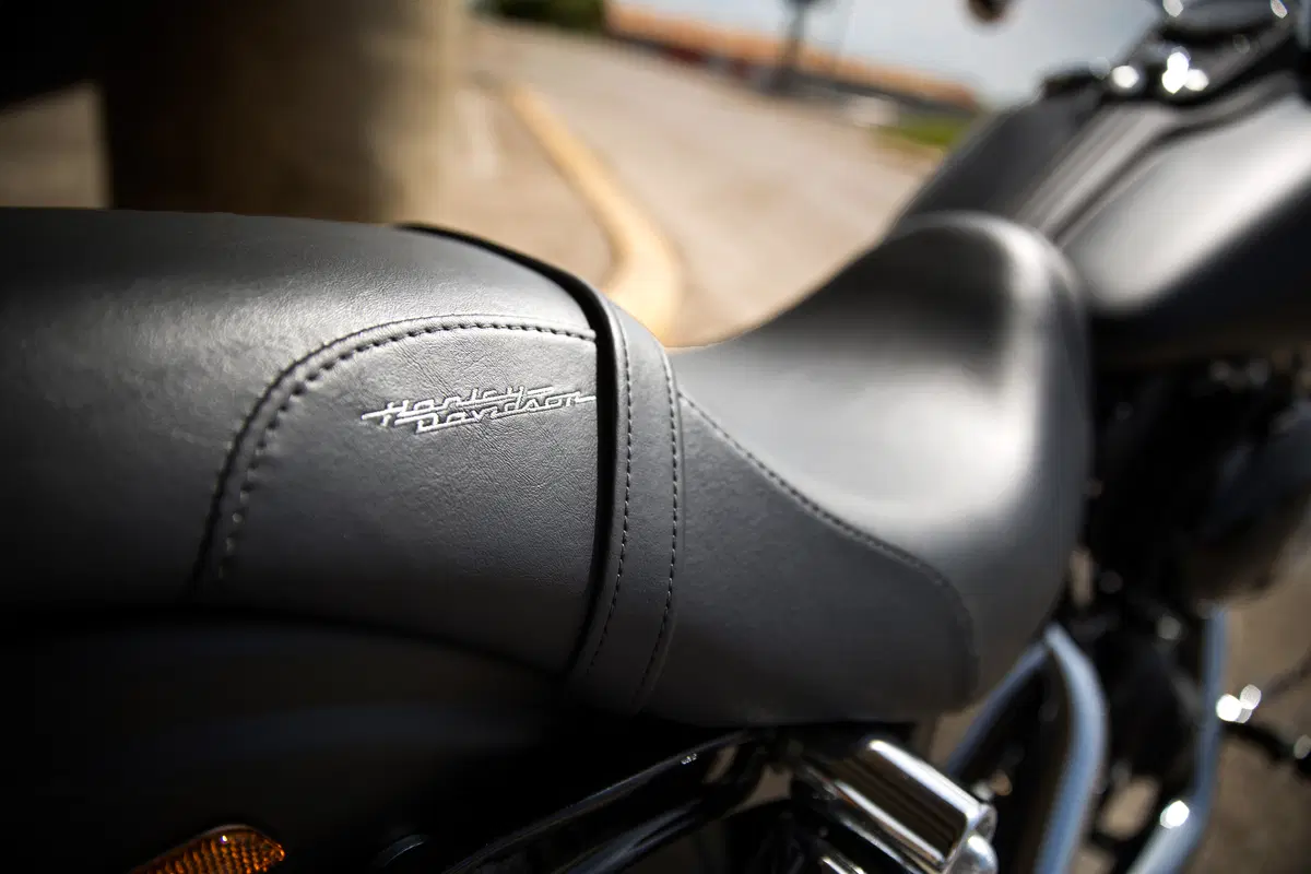 Harley-Davidson: ecco la gamma 2016 (11)