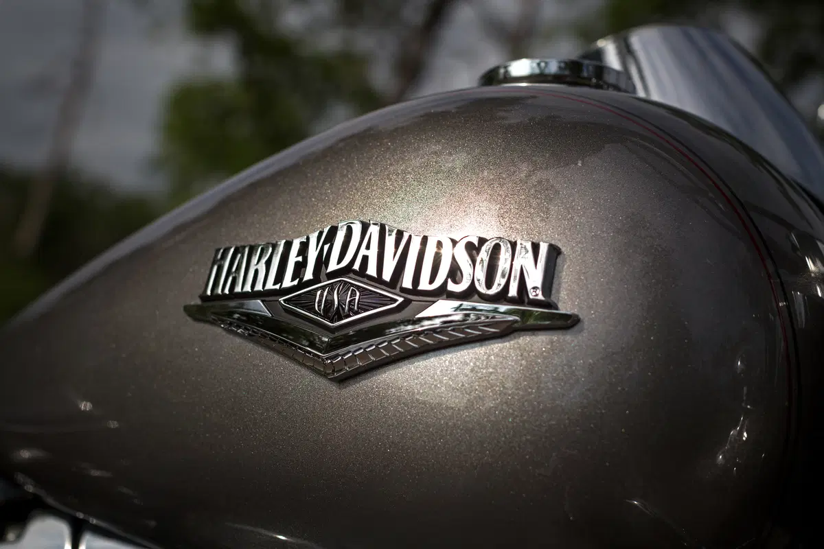 Harley-Davidson: ecco la gamma 2016 (15)